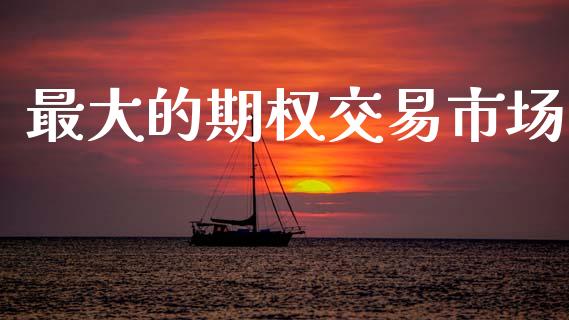 最大的期权交易市场_https://www.apanben.com_国际财经_第1张
