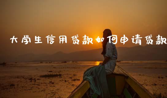 大学生信用贷款如何申请贷款_https://www.apanben.com_股票怎么玩_第1张