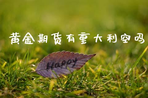 黄金期货有重大利空吗_https://www.apanben.com_国际期货_第1张
