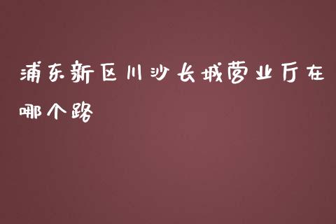 浦东新区川沙长城营业厅在哪个路_https://www.apanben.com_期货学院_第1张