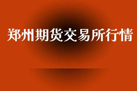 郑州期货交易所行情_https://www.apanben.com_股票怎么玩_第1张