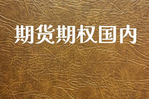 期货期权国内_https://www.apanben.com_股市分析_第1张
