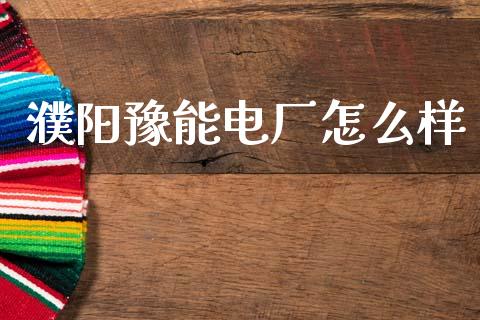 濮阳豫能电厂怎么样_https://www.apanben.com_国际期货_第1张