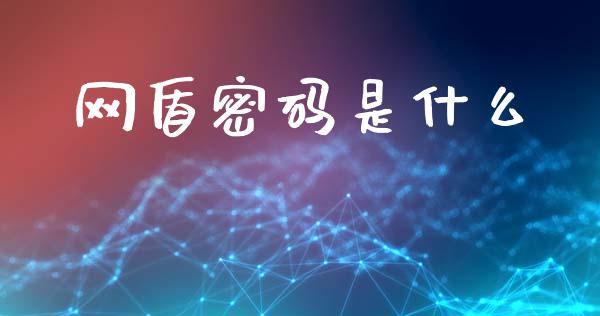 网盾密码是什么_https://www.apanben.com_国际财经_第1张