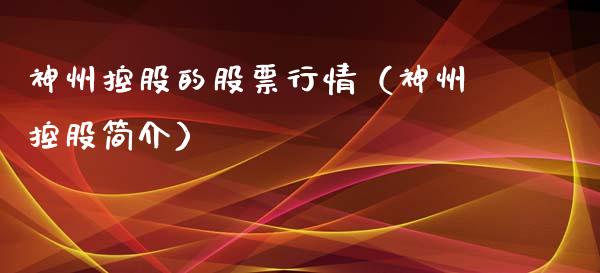 神州控股的股票行情（神州控股简介）_https://www.apanben.com_股市分析_第1张
