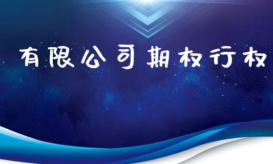 有限公司期权行权_https://www.apanben.com_股票怎么玩_第1张