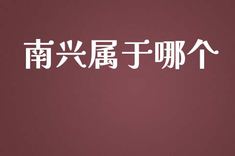 南兴属于哪个_https://www.apanben.com_股市指导_第1张