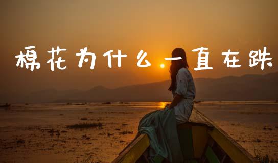 棉花为什么一直在跌_https://www.apanben.com_国际财经_第1张