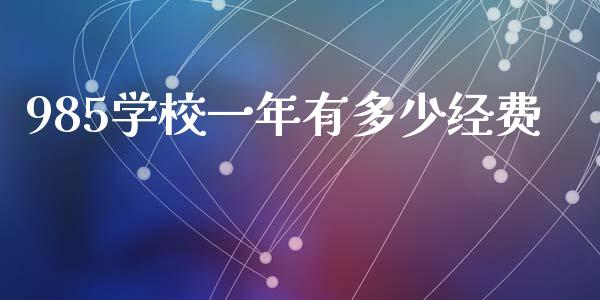 985学校一年有多少经费_https://www.apanben.com_期货学院_第1张