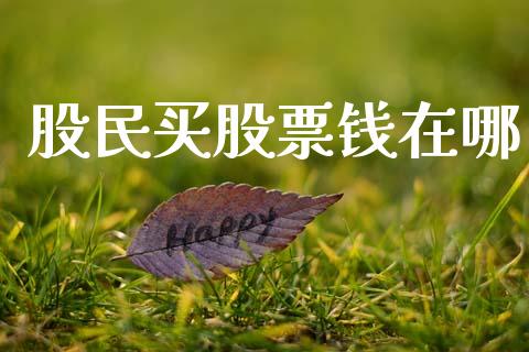 股民买股票钱在哪_https://www.apanben.com_期货学院_第1张