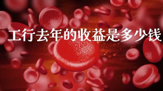 工行去年的收益是多少钱_https://www.apanben.com_国际财经_第1张