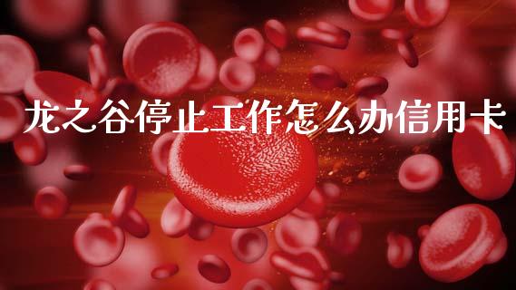 龙之谷停止工作怎么办信用卡_https://www.apanben.com_国际财经_第1张