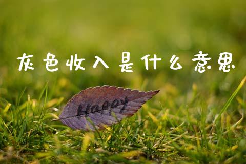 灰色收入是什么意思_https://www.apanben.com_国际期货_第1张