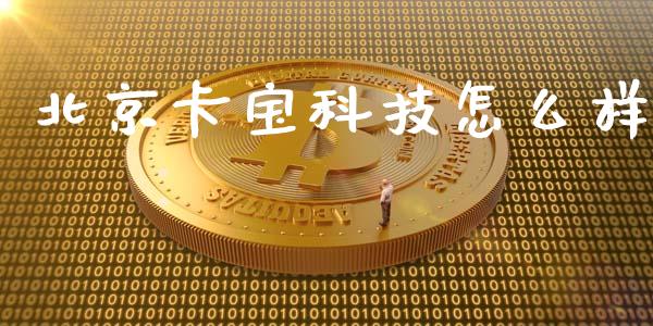 北京卡宝科技怎么样_https://www.apanben.com_在线喊单_第1张