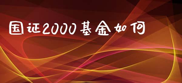 国证2000基金如何_https://www.apanben.com_股票怎么玩_第1张