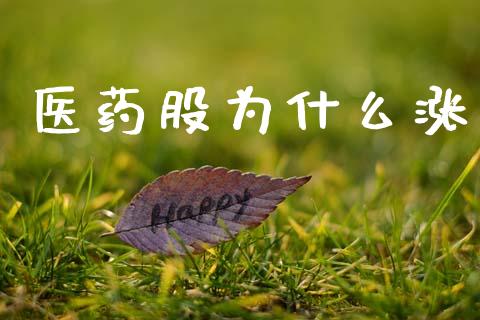医药股为什么涨_https://www.apanben.com_期货学院_第1张
