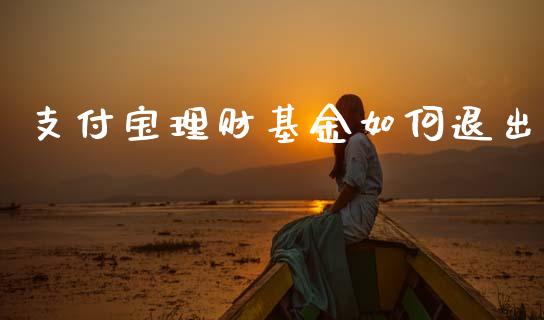 支付宝理财基金如何退出_https://www.apanben.com_国际财经_第1张