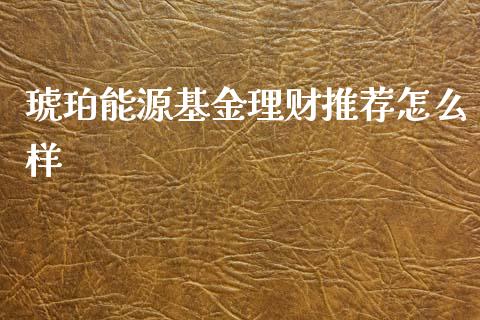琥珀能源基金理财推荐怎么样_https://www.apanben.com_国际财经_第1张
