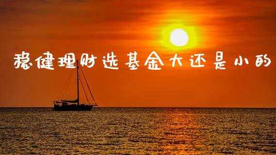 稳健理财选基金大还是小的_https://www.apanben.com_财经资讯_第1张