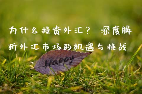 为什么投资外汇？ 深度解析外汇市场的机遇与挑战_https://www.apanben.com_国际期货_第1张