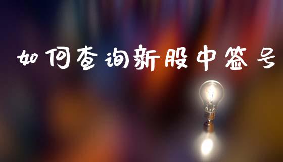 如何查询新股中签号_https://www.apanben.com_期货学院_第1张