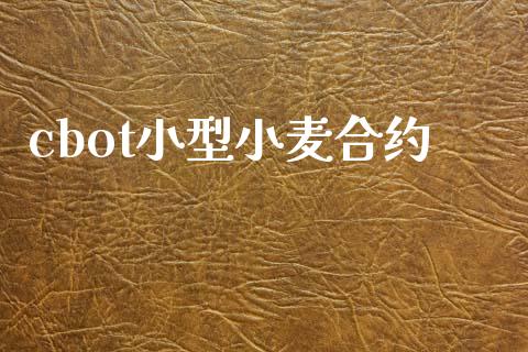cbot小型小麦合约_https://www.apanben.com_财经资讯_第1张