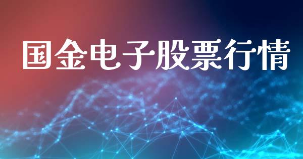 国金电子股票行情_https://www.apanben.com_股票怎么玩_第1张