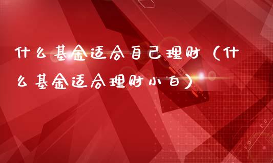 什么基金适合自己理财（什么基金适合理财小白）_https://www.apanben.com_财经资讯_第1张