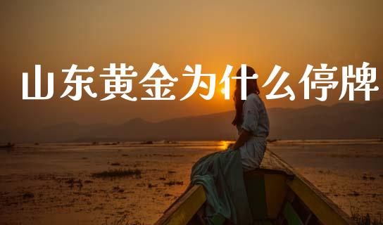 山东黄金为什么停牌_https://www.apanben.com_期货学院_第1张