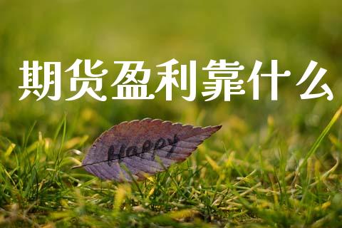 期货盈利靠什么_https://www.apanben.com_期货学院_第1张