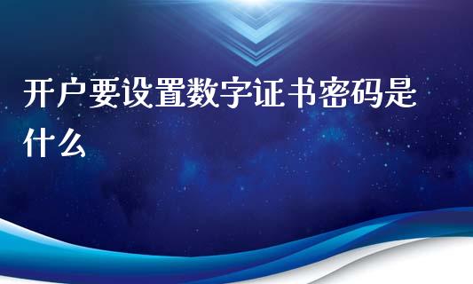 开户要设置数字证书密码是什么_https://www.apanben.com_在线喊单_第1张
