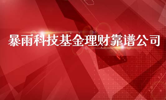 暴雨科技基金理财靠谱公司_https://www.apanben.com_国际财经_第1张