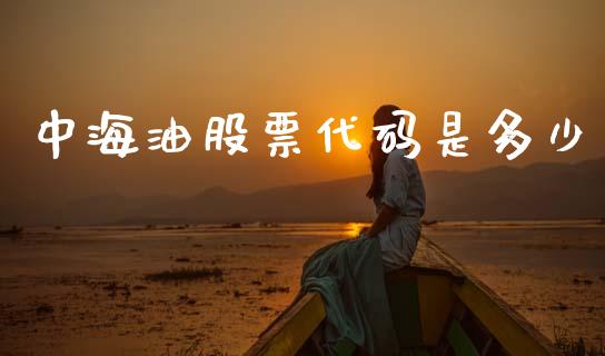 中海油股票代码是多少_https://www.apanben.com_期货学院_第1张
