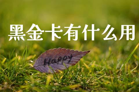 黑金卡有什么用_https://www.apanben.com_在线喊单_第1张