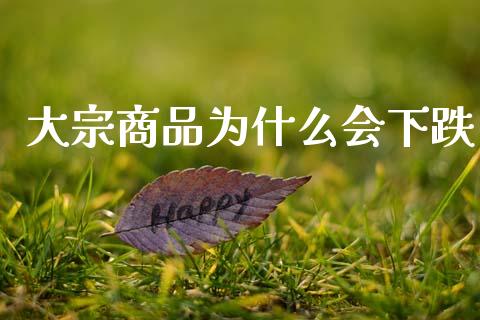 大宗商品为什么会下跌_https://www.apanben.com_在线喊单_第1张
