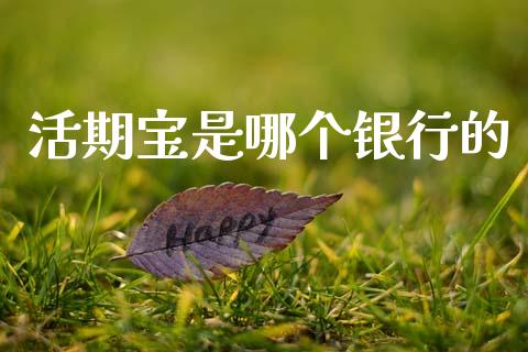 活期宝是哪个银行的_https://www.apanben.com_股票怎么玩_第1张