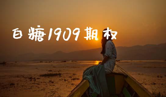 白糖1909期权_https://www.apanben.com_财经资讯_第1张