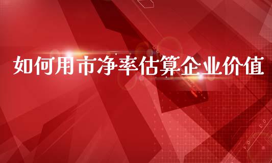 如何用市净率估算企业价值_https://www.apanben.com_在线喊单_第1张