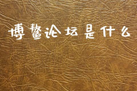 博鳌论坛是什么_https://www.apanben.com_财经资讯_第1张