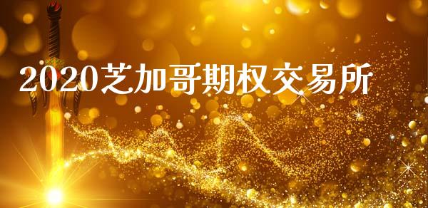 2020芝加哥期权交易所_https://www.apanben.com_股票怎么玩_第1张