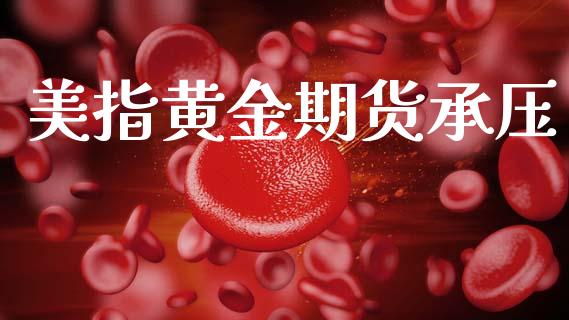 美指黄金期货承压_https://www.apanben.com_期货学院_第1张