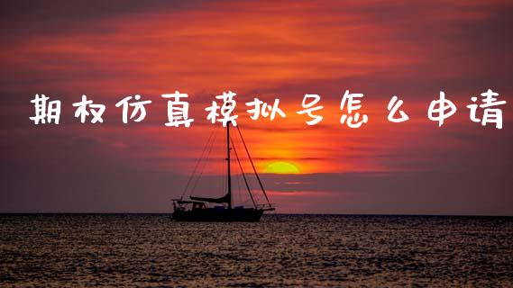 期权仿真模拟号怎么申请_https://www.apanben.com_国际期货_第1张
