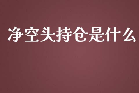 净空头持仓是什么_https://www.apanben.com_股票怎么玩_第1张