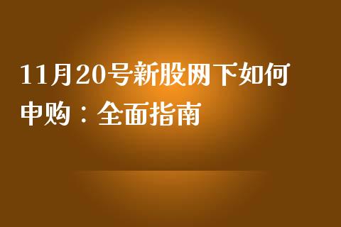 11月20号新股网下如何申购：全面指南_https://www.apanben.com_股市分析_第1张