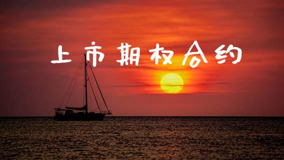 上市期权合约_https://www.apanben.com_国际期货_第1张