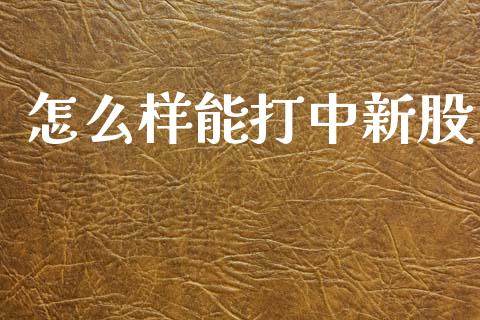 怎么样能打中新股_https://www.apanben.com_期货学院_第1张