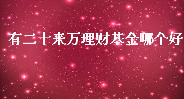 有二十来万理财基金哪个好_https://www.apanben.com_国际财经_第1张