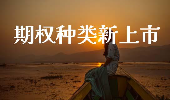 期权种类新上市_https://www.apanben.com_财经资讯_第1张