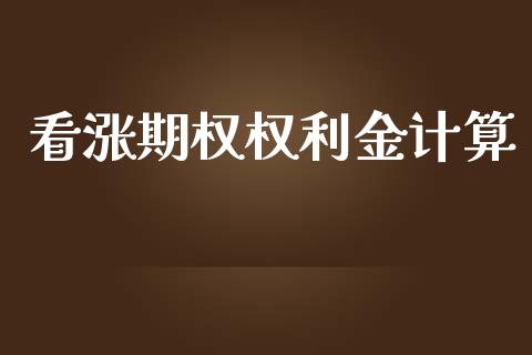 看涨期权权利金计算_https://www.apanben.com_期货学院_第1张