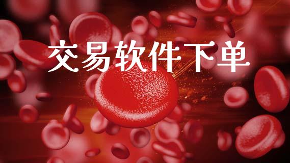 交易软件下单_https://www.apanben.com_股市指导_第1张